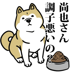 尚也リスペクト（プラチナ）