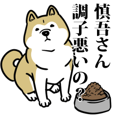 慎吾リスペクト（プラチナ）