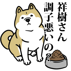 祥樹リスペクト（プラチナ）