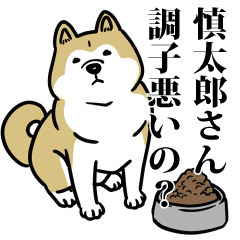 慎太郎リスペクト（プラチナ）