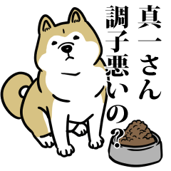 真一リスペクト（プラチナ）