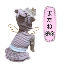hana_20230318000750