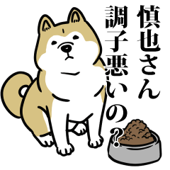慎也リスペクト（プラチナ）