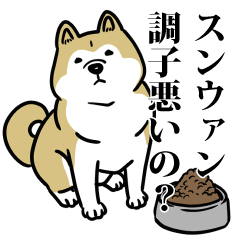 RESPECT STICKER_s_0468