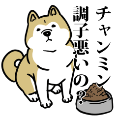 RESPECT STICKER_s_0474