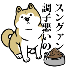 RESPECT STICKER_s_0469