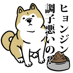 RESPECT STICKER_s_0479