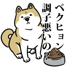 RESPECT STICKER_s_0480