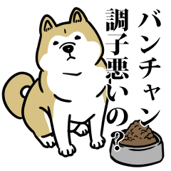 RESPECT STICKER_s_0476