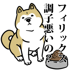 RESPECT STICKER_s_0488