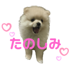 omo_20230317211108