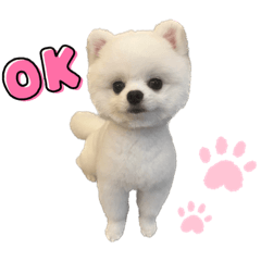 I am mochi_20230318001057 – LINE stickers | LINE STORE