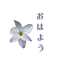 suzu_20230317172814