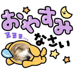 fuwa_20230318094934