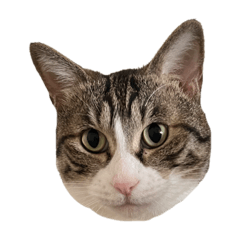 hikari_20230317220632