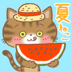 Brown Patched Tabby Cat MIE in Summer