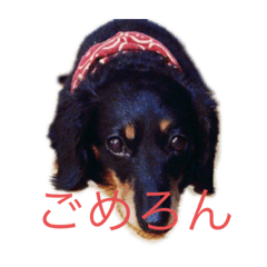 hana_20230318134622