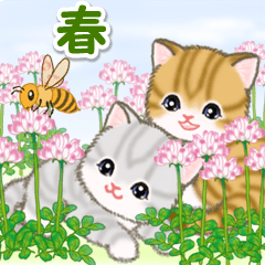 Cute kittens in the spring fields