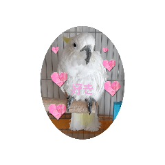 aoi_20230318113948