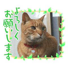 nao_20230318142530