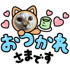 arisa_20230318142847