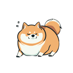 It's just a chubby Shiba Inu.