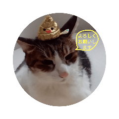 Mizuki_20230318085254