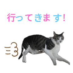 NAO_20230318150347