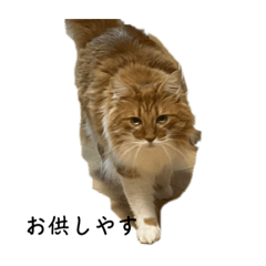 mizuki_20230318162444