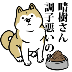 晴樹リスペクト（プラチナ）