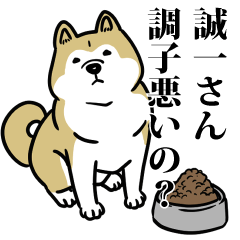 誠一リスペクト（プラチナ）
