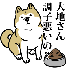 大地リスペクト（プラチナ）