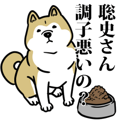 聡史リスペクト（プラチナ）
