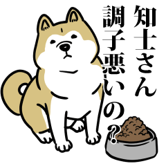 知士リスペクト（プラチナ）