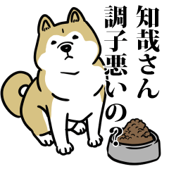 知哉リスペクト（プラチナ）