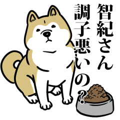 智紀リスペクト（プラチナ）