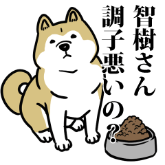 智樹リスペクト（プラチナ）