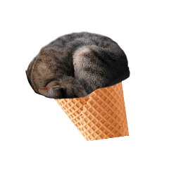 It's cat.hung