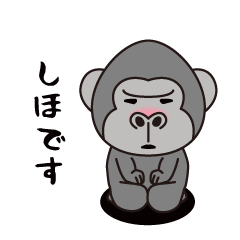 Interesting sticker gorilla(Shiho)