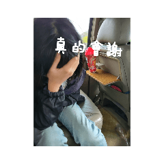 來自蓉的肯定