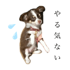 rinrin_20230318190546