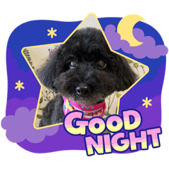 SAYURI_20230318213526