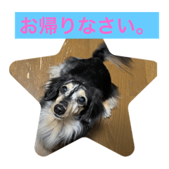 Nao_20230318214902