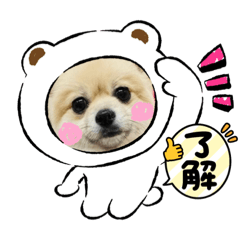 kana_20230318173542