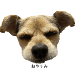 hachien_20230318173654