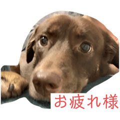 ._.712 – LINE stickers | LINE STORE