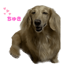 Reo cute stamp