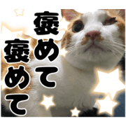 tukune_20230318233128