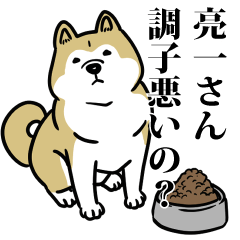 RESPECT STICKER_s_0523