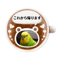 インコちゃん達のスタンプ